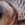 0001_Abu_Garcia_Svartzonker_McMio__[Real_Roach].jpg